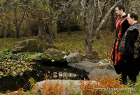 Glancing in the pond